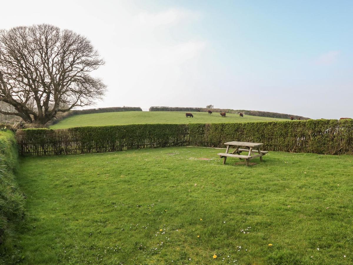Home Farm Cottage Boscastle Exterior foto